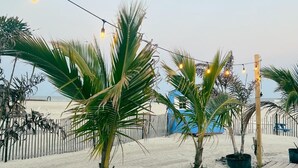 Eine Holzterrasse mit Kübelpalmen und Lichterketten.
