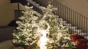 A snow-covered Christmas tree with lights in front of a staircase.