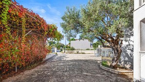 Une rue pavée, avec un bâtiment blanc sur la droite et un arbre aux feuilles vertes sur la gauche.