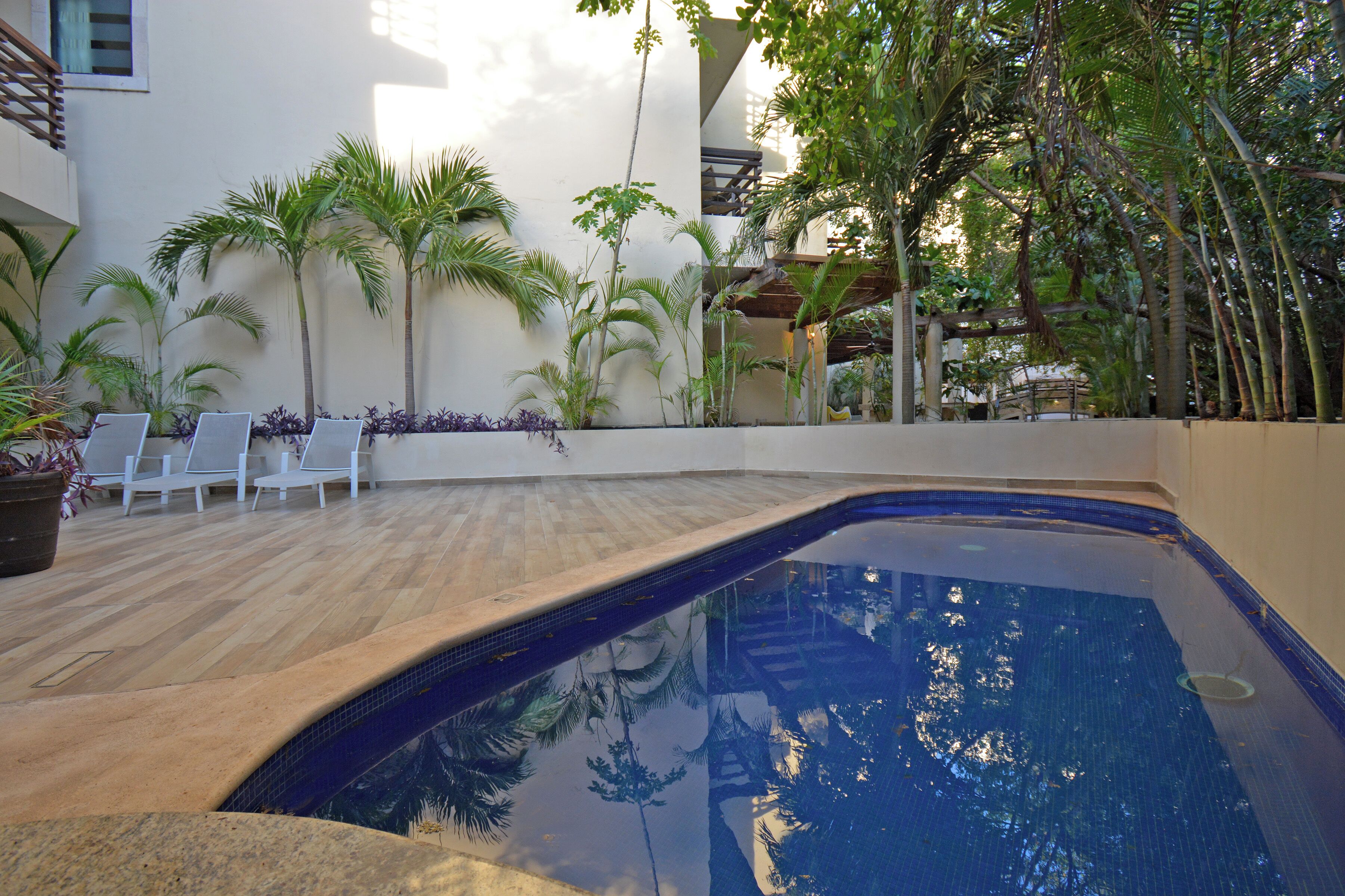 A swimming pool with a wooden deck, surrounded by palm trees and a white building.