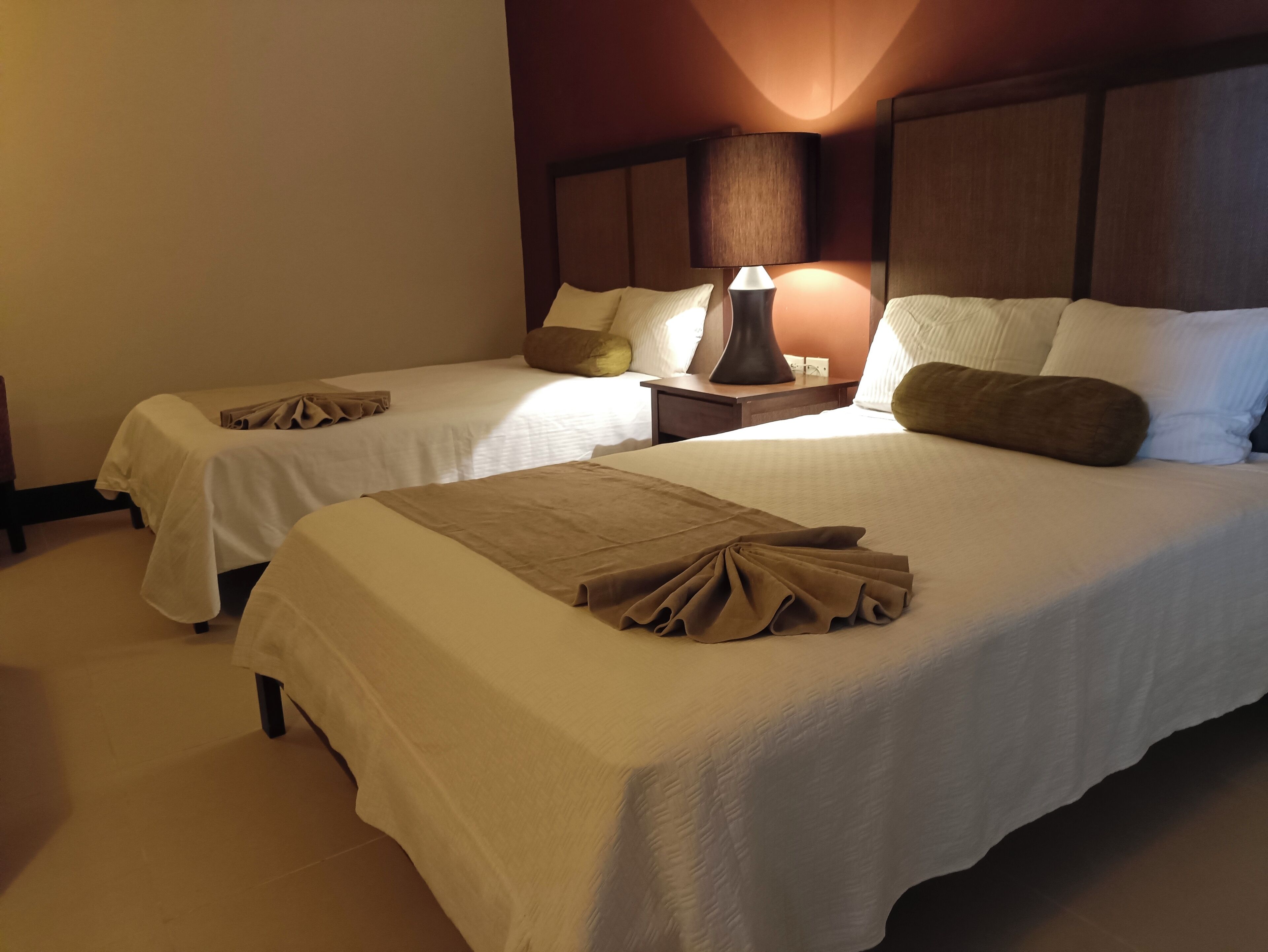 Two neatly made beds with white linens and brown throw pillows, a bedside lamp, and a wooden headboard.