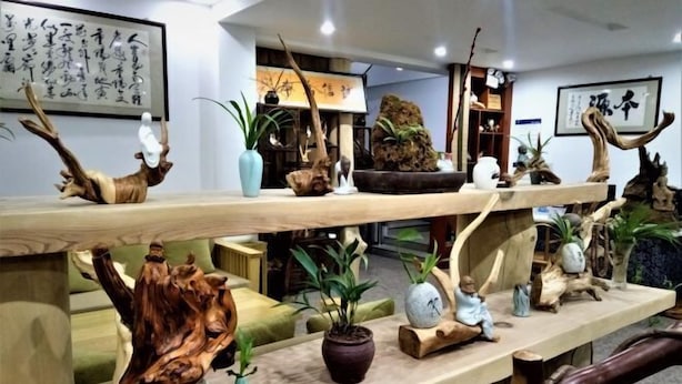 A room with wooden shelves displaying various sculptures and plants. - Benyuan Hostel (Wuyishan)