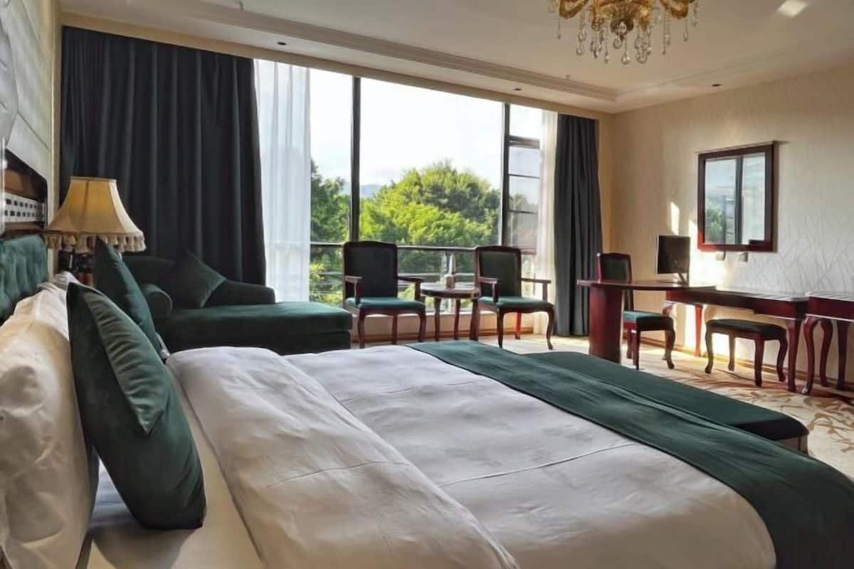 A hotel room with a bed, two chairs, a desk, a lamp, and a view of greenery outside.