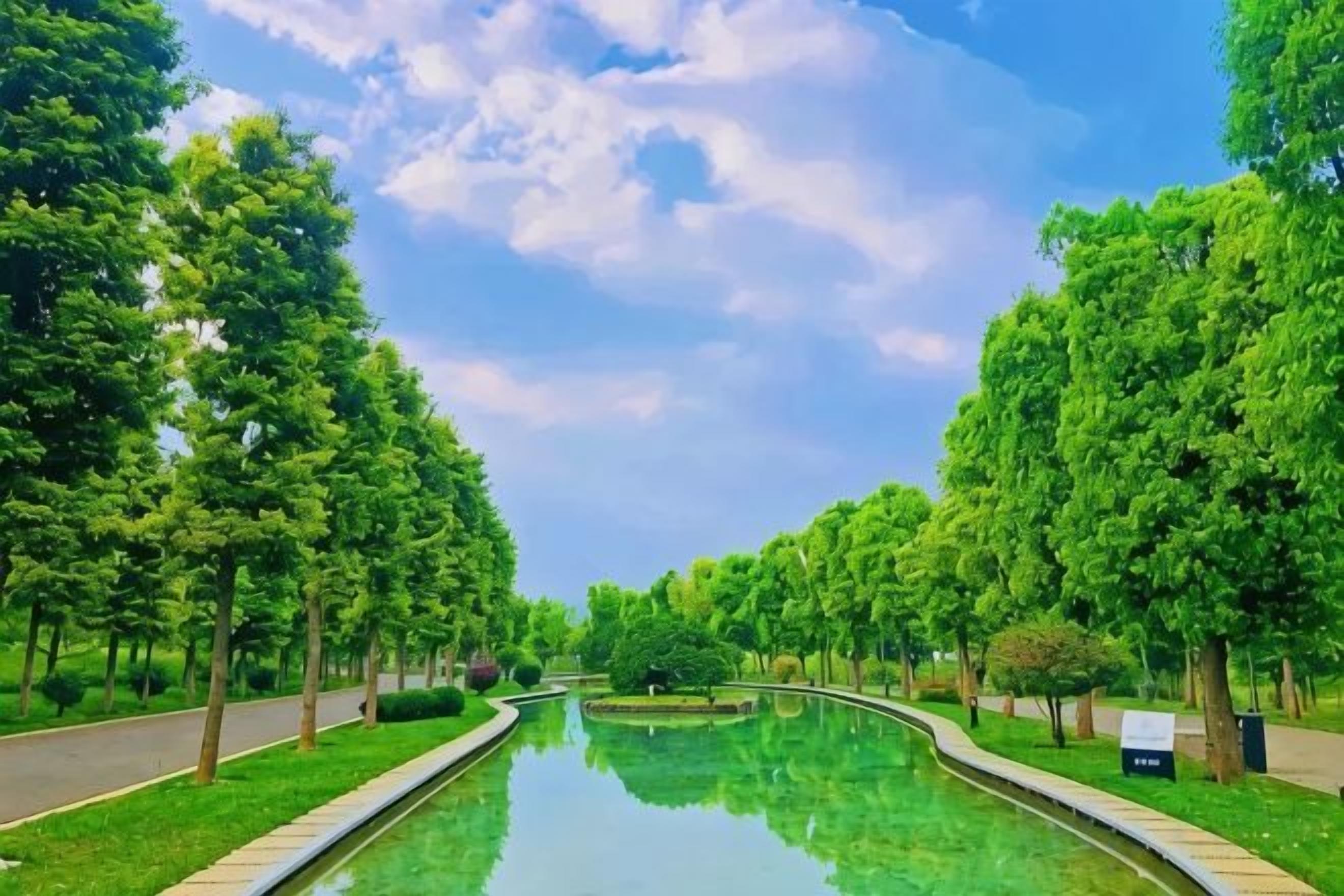 A serene pathway flanked by trees leading to a reflective water feature.