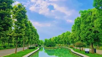 A serene pathway flanked by trees leading to a reflective water feature.