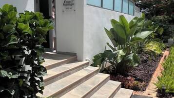 Detalle del exterior
