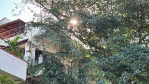 Un immeuble à plusieurs étages doté de balcons, avec un arbre devant et une moto garée.