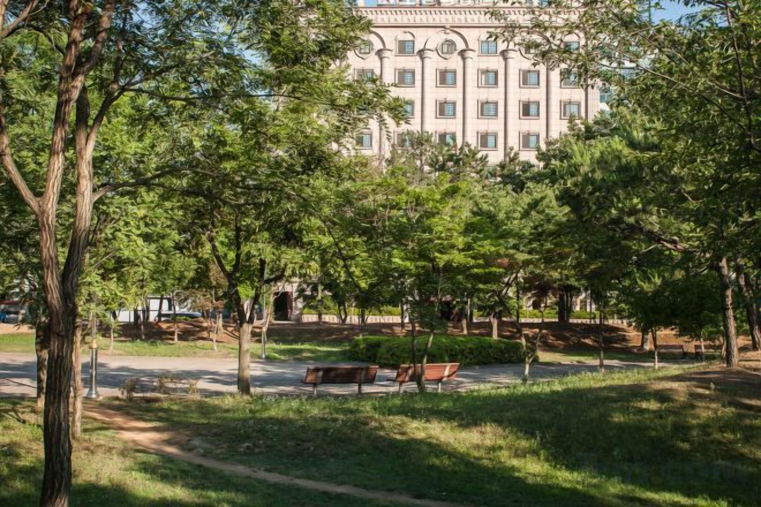 A park with benches, trees, and a building in the background.