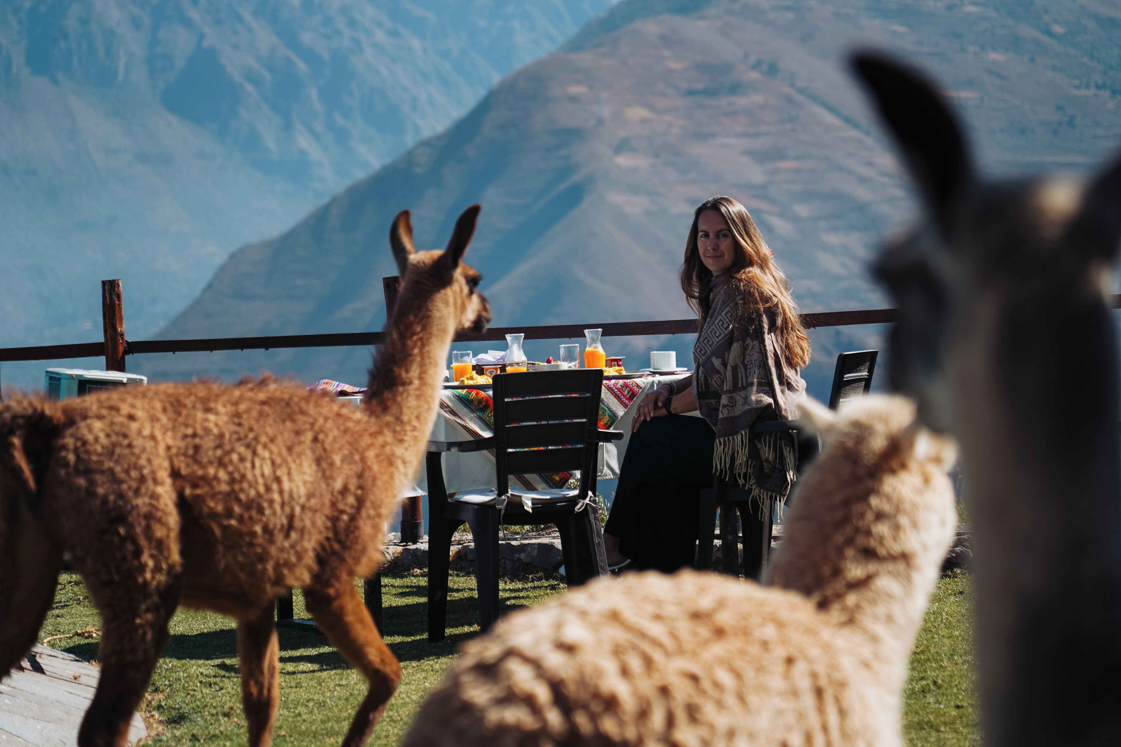Una mesa con sillas y una vista de la montaña al fondo.