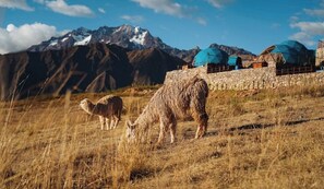 Exterior - Memorable Sacred Experience (Maras)