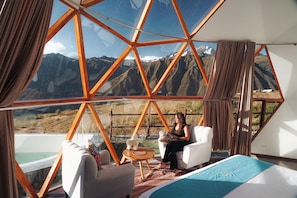 Premium bedding, down duvets, minibar, individually decorated