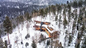 Ein schneebedecktes Chalet mit außergewöhnlicher Architektur, umgeben von dichtem Wald.