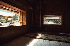 A room with a bed, a window with a view of greenery, and a smaller window with a view of a building.