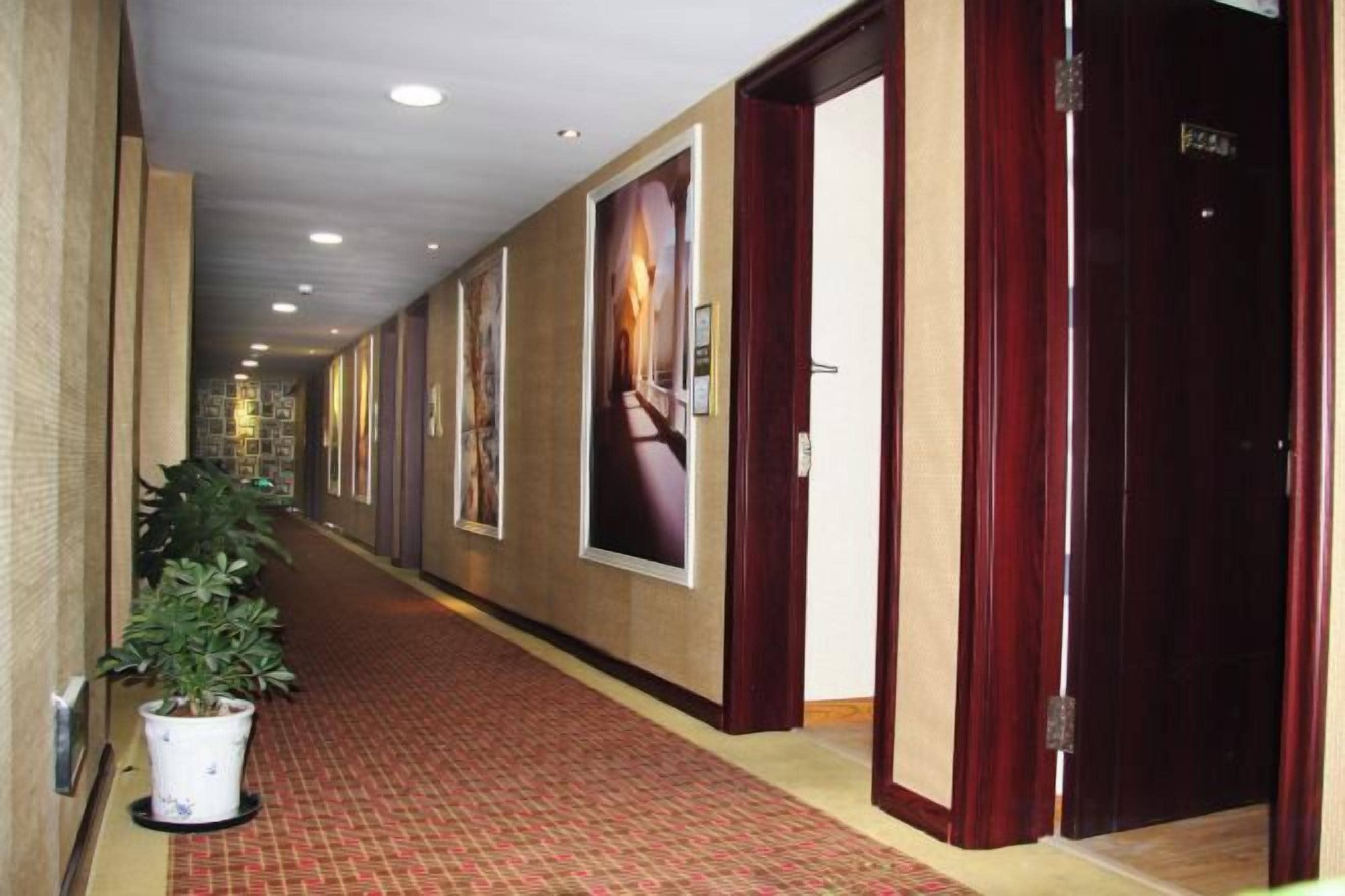 A hotel corridor with framed pictures on the walls, a potted plant, and a red carpet.