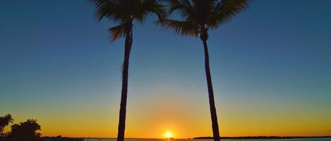 On the beach, sun loungers, beach towels