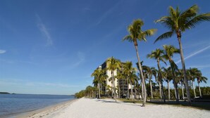 A beach with a row of palm trees and a building with multiple floors.