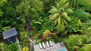 A tropical resort with a swimming pool, lounge chairs, and lush greenery. - Bukala Village Lodge (Peñas Blancas)