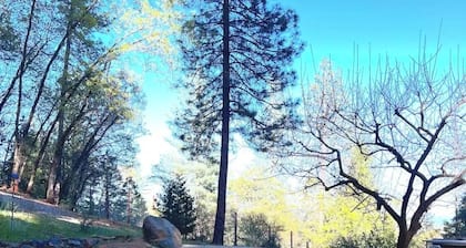 Forest Studio with Pool & Mountain View’s