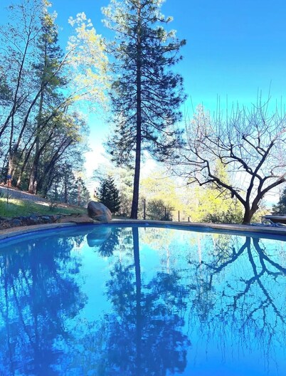 Forest Studio with Pool & Mountain View’s