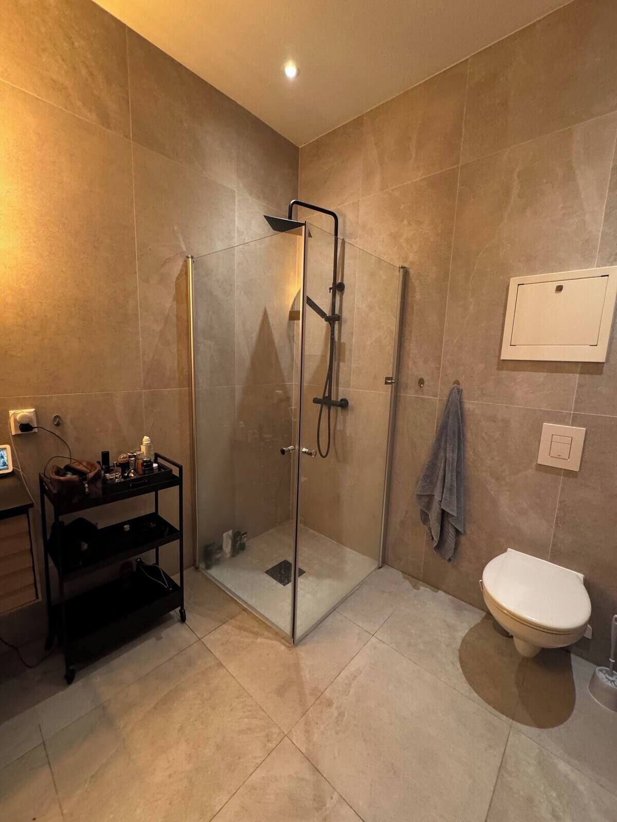 Dusj, hårføner, håndklær og såpe