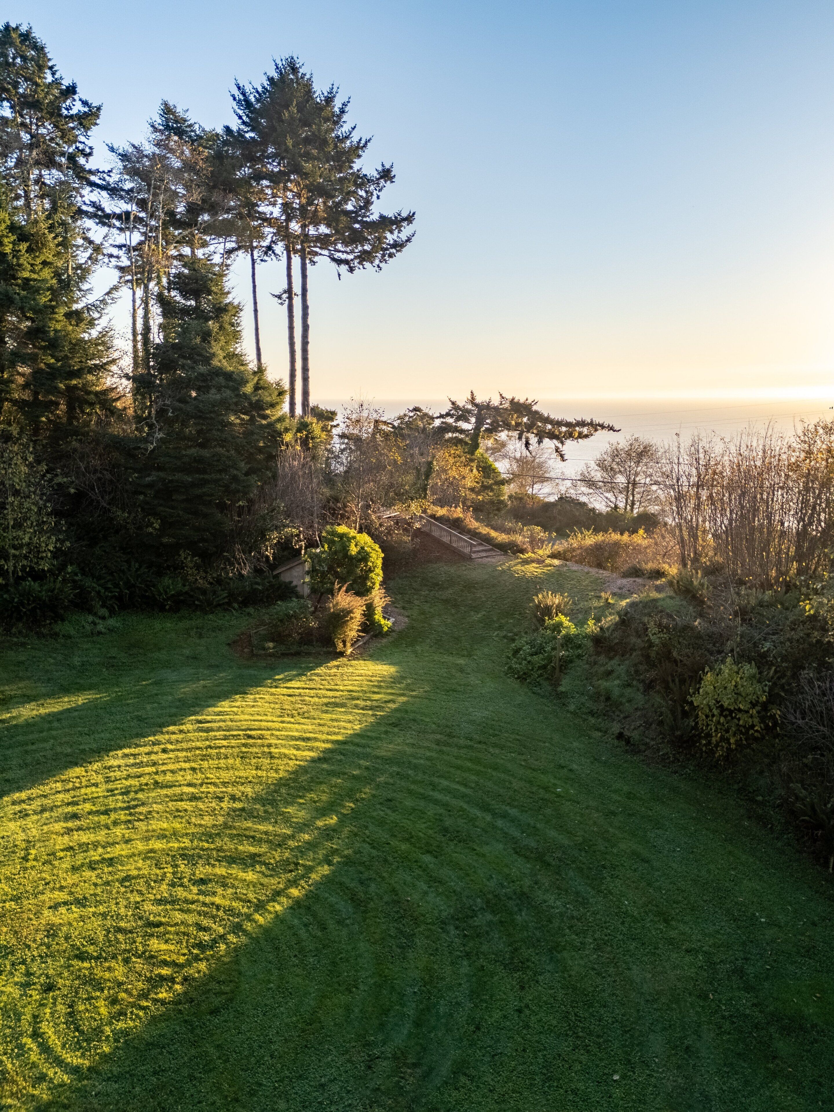 A grassy pathway leading through a forested area with tall trees and a view of the ocean.