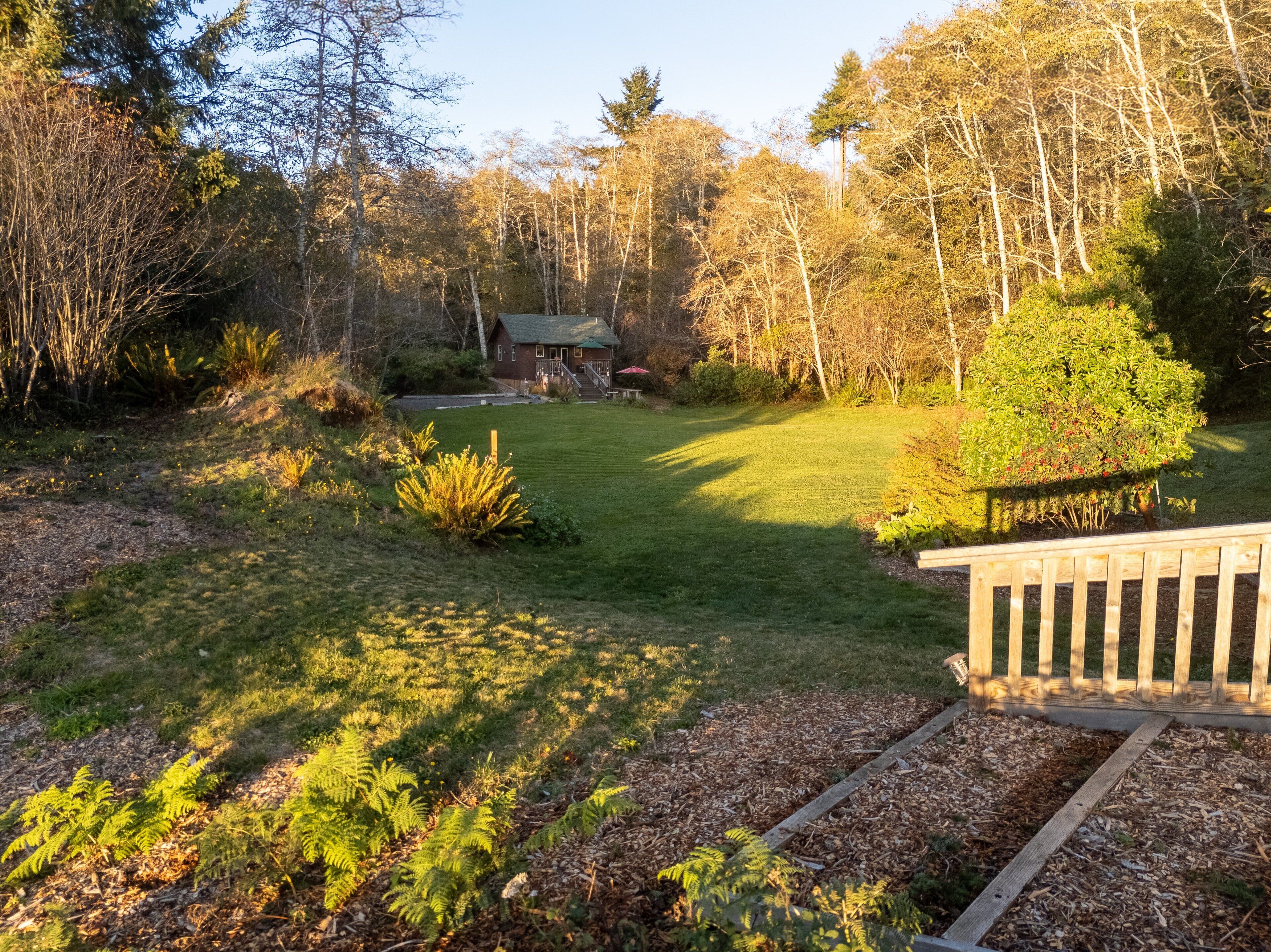 A well-maintained garden with a wooden deck, a lawn, and a variety of trees and shrubs.