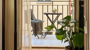 A balcony with a chair, a small table, and a potted plant.