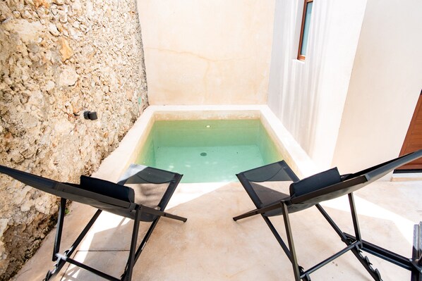 Pool - Spectacular newly remodelled Colonial House with plunge pool (Merida)