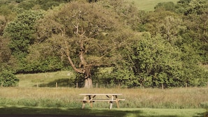 A picnic table in a grassy field with trees and hills in the background. - Hot Tub Cabin With Views Over The Brecon Beacons (Brecon)