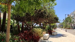 A tree-lined sidewalk with benches and a clear sky. - Apartment in the center of Estepona (Estepona)