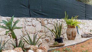 A garden with various plants, a stone wall, and a black fence.