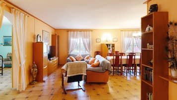 TV, fireplace, ping pong