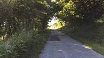 A narrow, tree-lined road with no visible buildings or structures.
