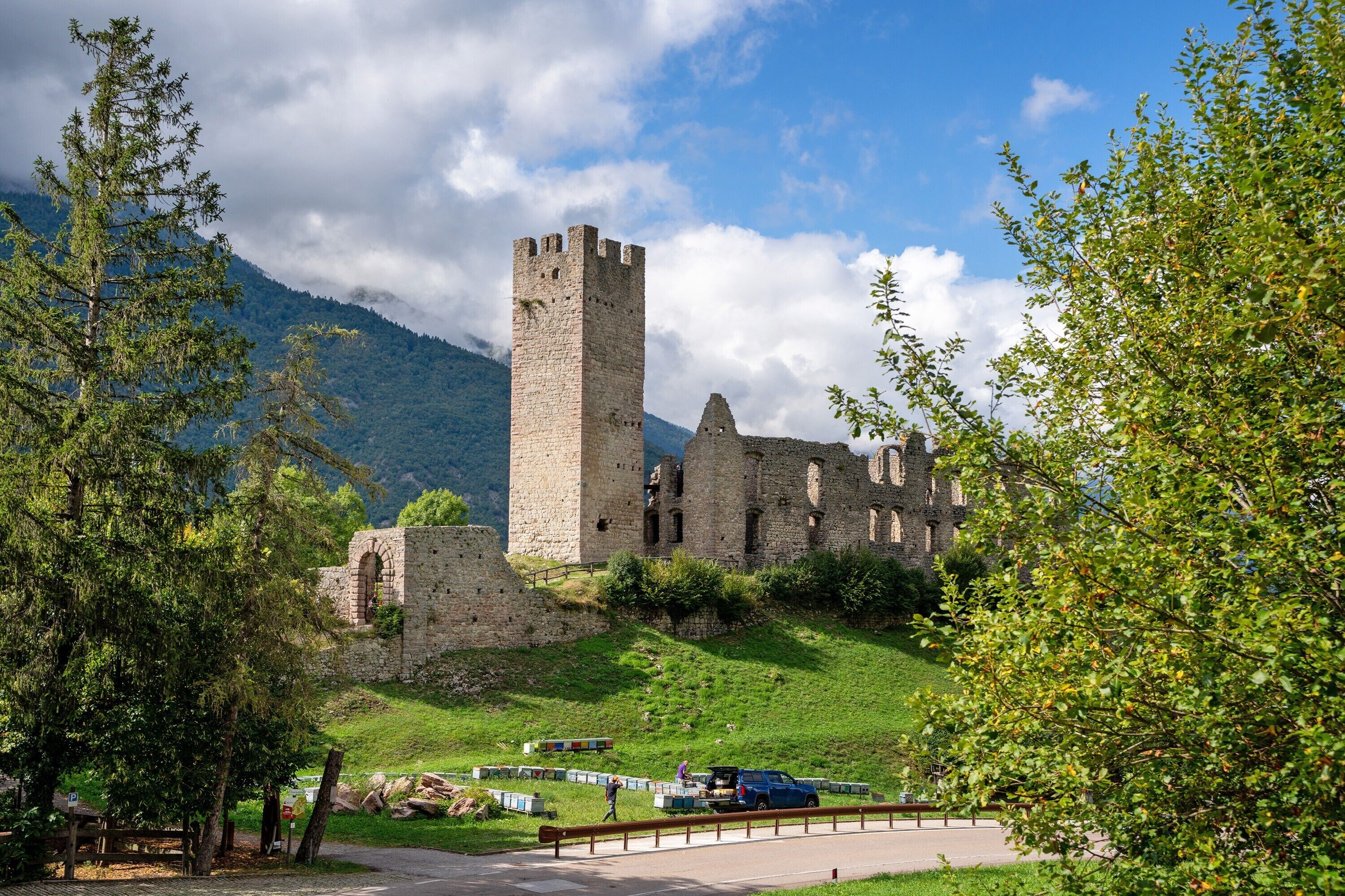 Eine historische Burg mit einem hohen Turm, umgeben von Grünpflanzen und Bergen.
