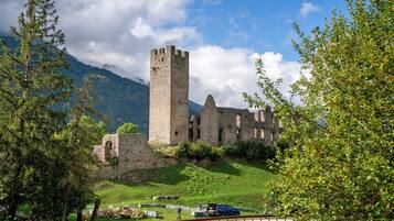 Eine historische Burg mit einem hohen Turm, umgeben von Grünpflanzen und Bergen.