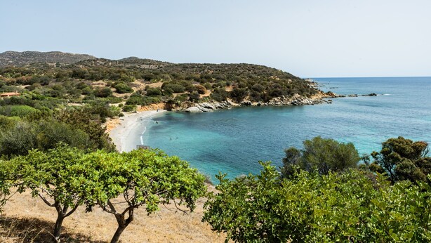 Un paysage côtier avec une plage, des arbres et un ciel dégagé.