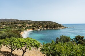 A coastal landscape with a beach, trees, and a clear sky.