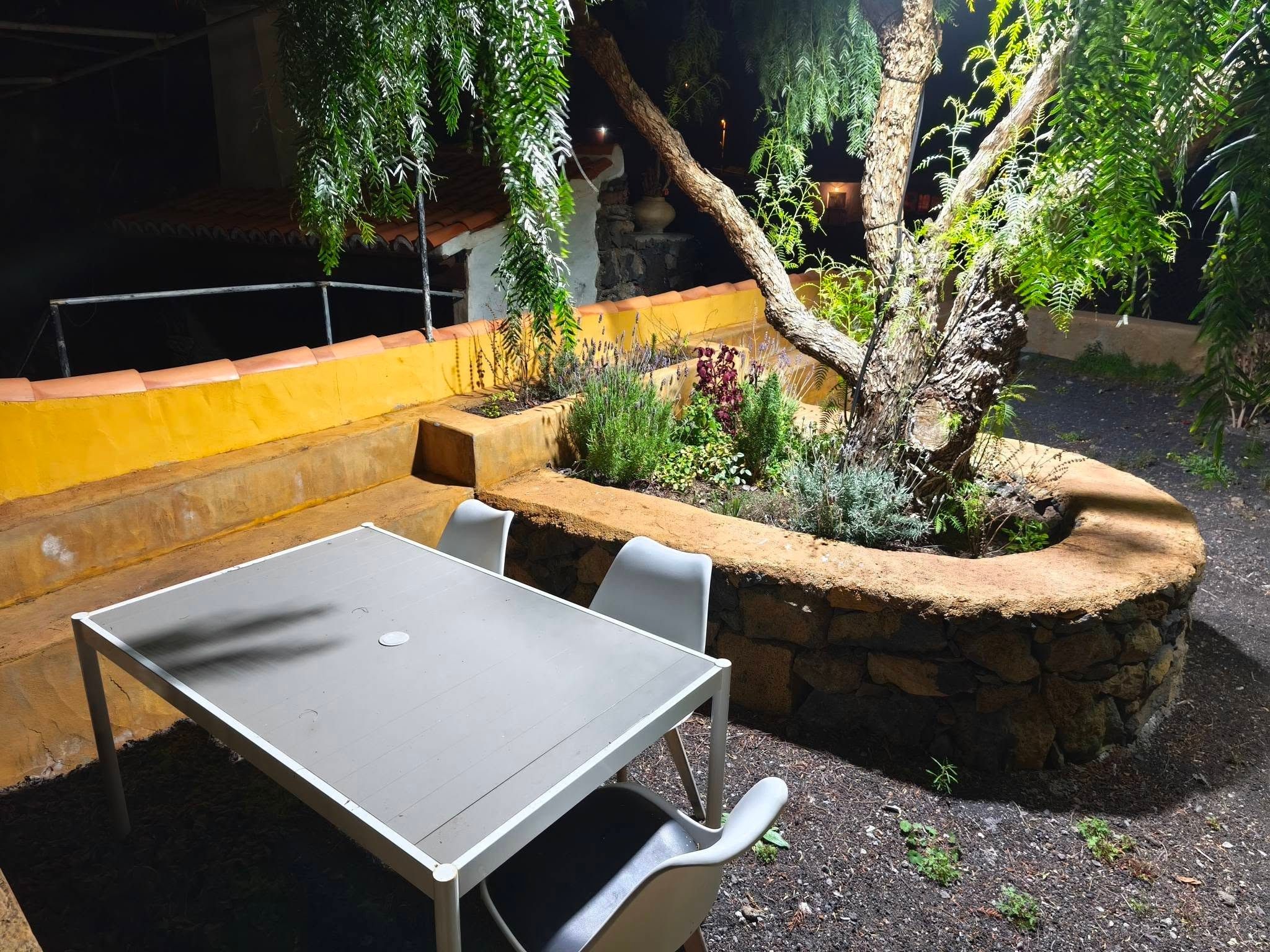 An outdoor seating area with a table and chairs, surrounded by a garden with various plants and a tree.