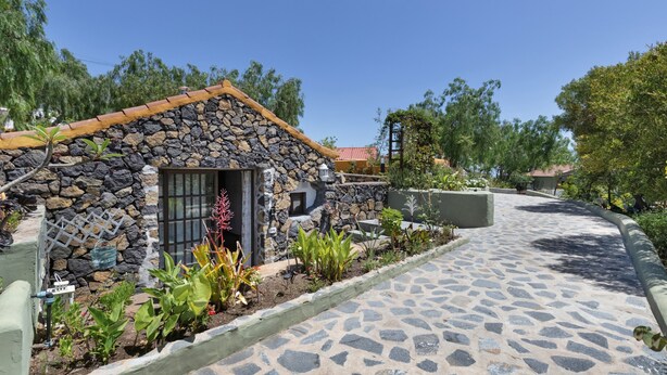 A stone building with a tiled roof, a paved pathway, and various plants.
