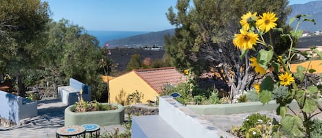 Terras