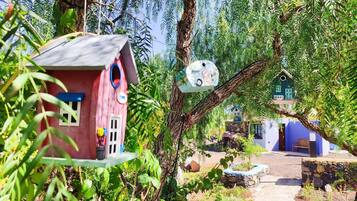 A pathway leading to a building with a blue facade, surrounded by lush greenery and a red birdhouse.