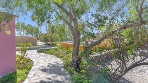 A paved pathway leading through a garden area with trees and a building in the background.
