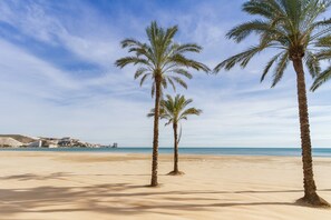 A beach with sand, palm trees, and a clear sky.