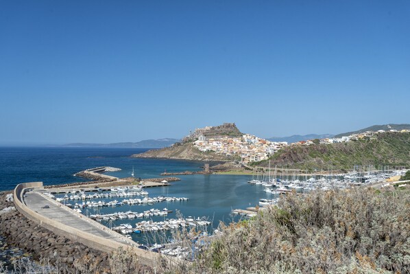 Marina