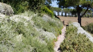 A pathway through a garden with various plants and trees. - Villa 'Sunflower' with Private Garden and Wi-Fi (Capalbio)