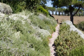 Property grounds - Villa 'Sunflower' with Private Garden and Wi-Fi (Capalbio)