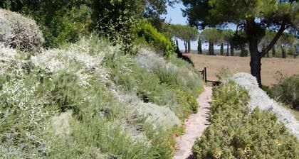 Villa 'Lime Tree' mit Privatem Garten und Wi-Fi