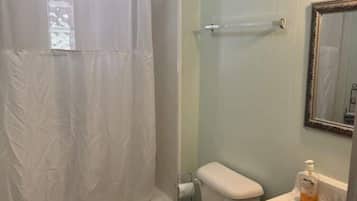 Shower, hair dryer