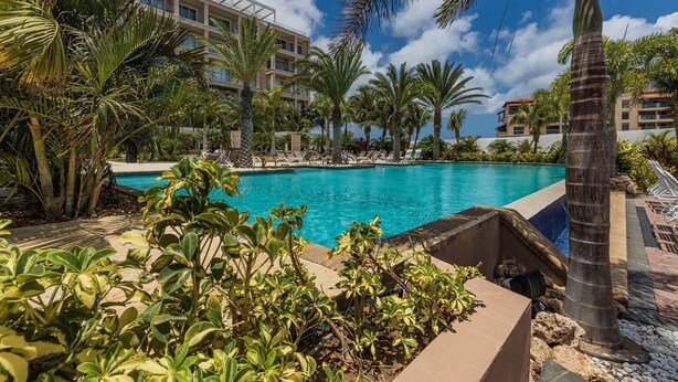 A swimming pool surrounded by palm trees and a hotel building. - Eagle Beach Resort Ground Level 3BR2BA Pool Levent (Oranjestad)