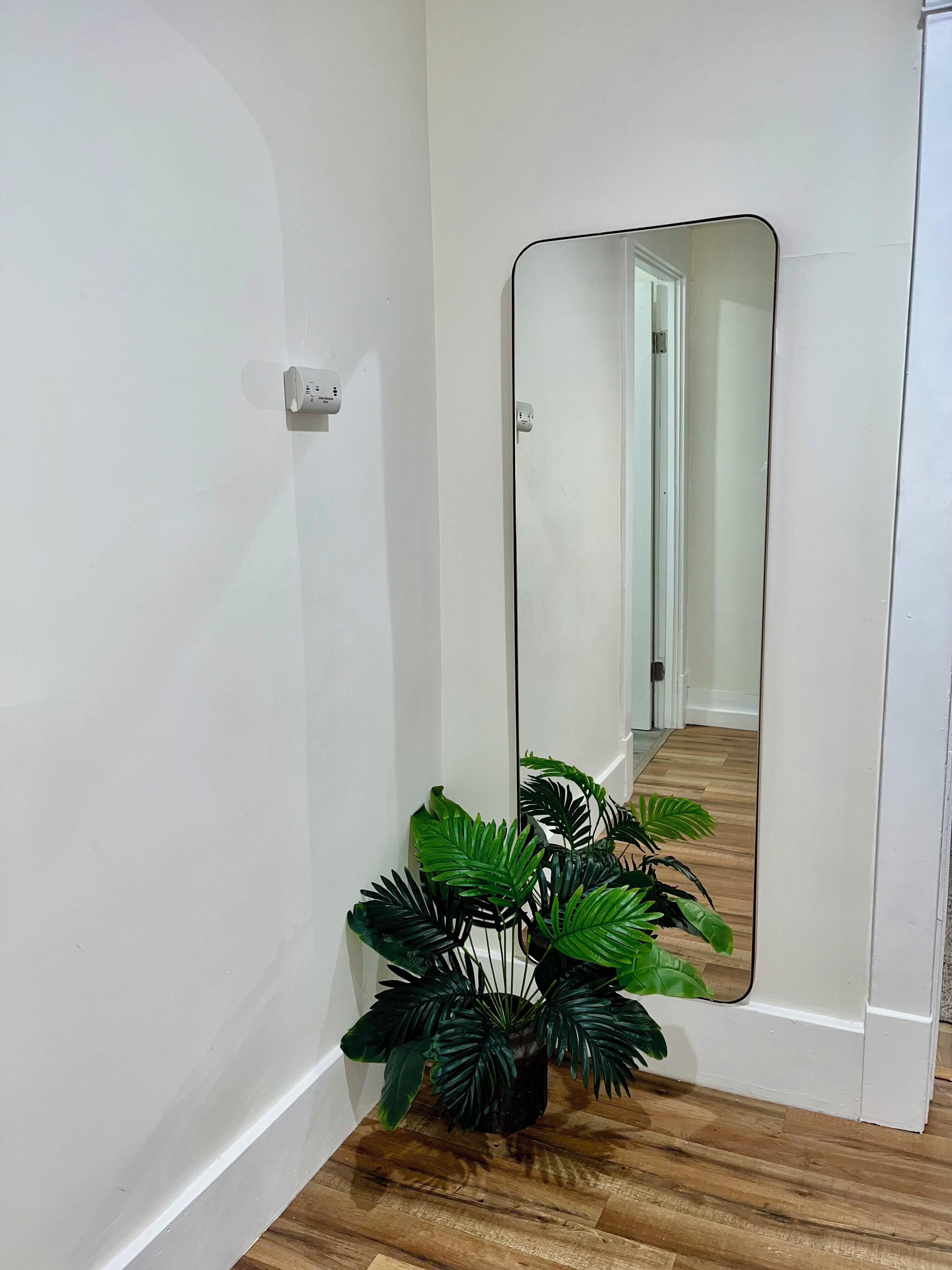 Een gang met een grote spiegel, een plant in pot en een houten vloer.